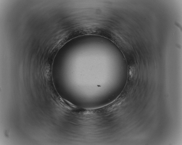 X0000098130867200804241647