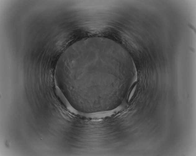 X0000098130868200804241647