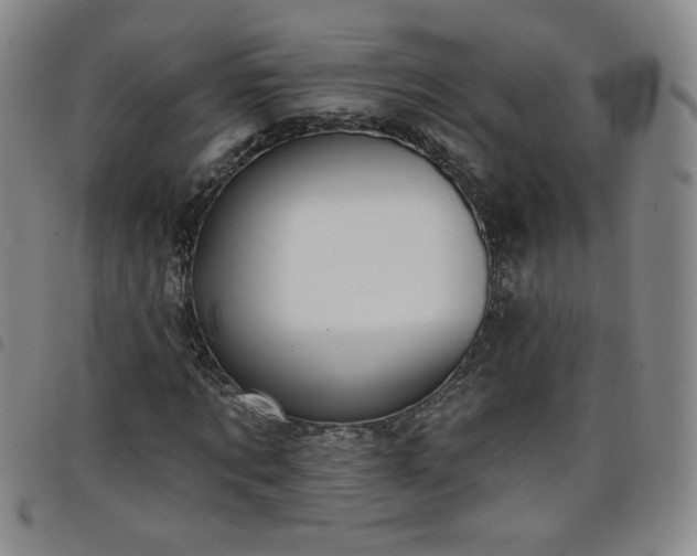 X0000098130869200804241647
