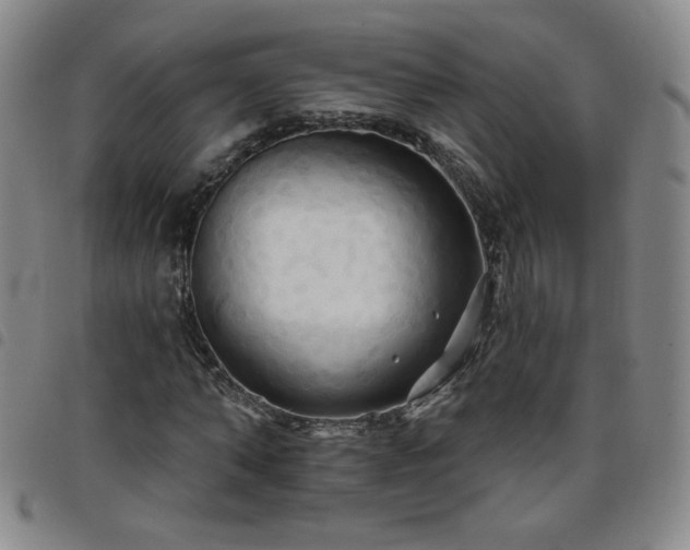 X0000098130870200804241647