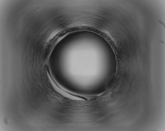 X0000098130871200804241647