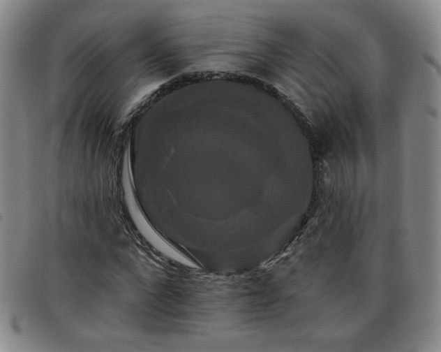 X0000098130872200804241647