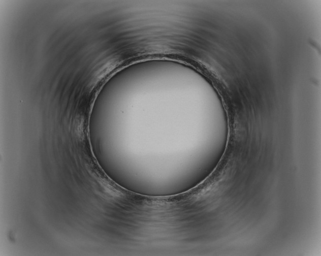 X0000098130873200804241647