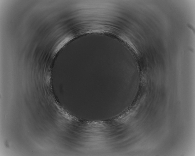 X0000098130874200804241647
