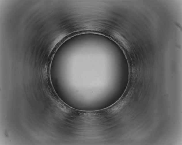 X0000098130875200804241647