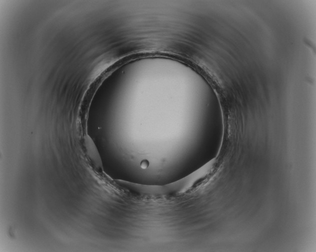 X0000098130876200804241647