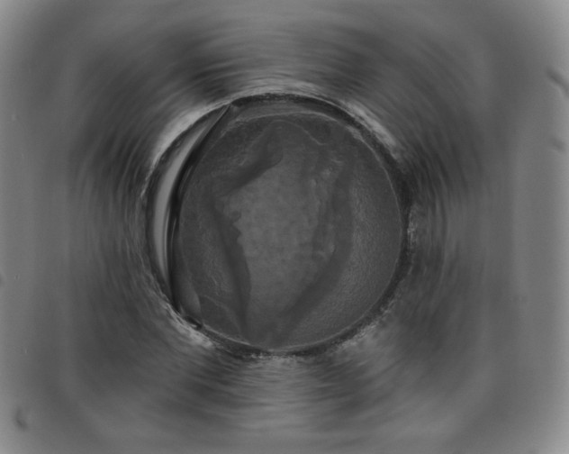 X0000098130877200804241647