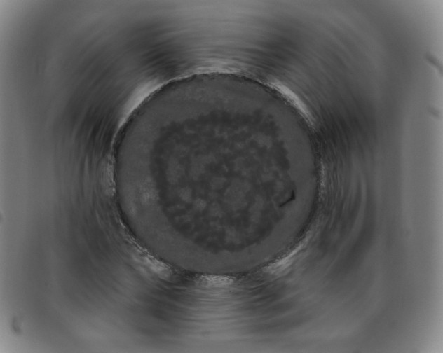 X0000098130878200804241647