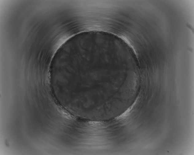 X0000098130879200804241647
