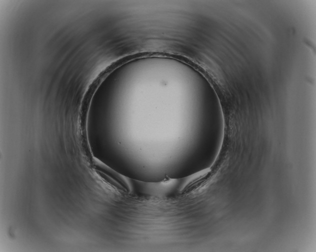 X0000098130880200804241647