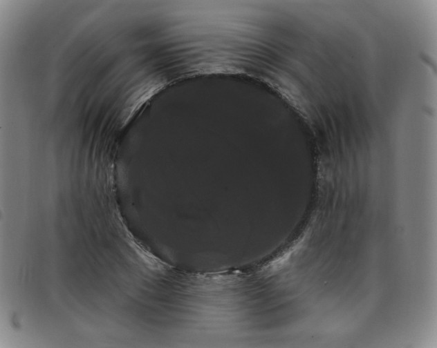 X0000098130881200804241647