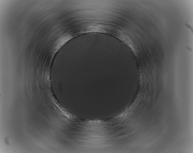 X0000098130882200804241647