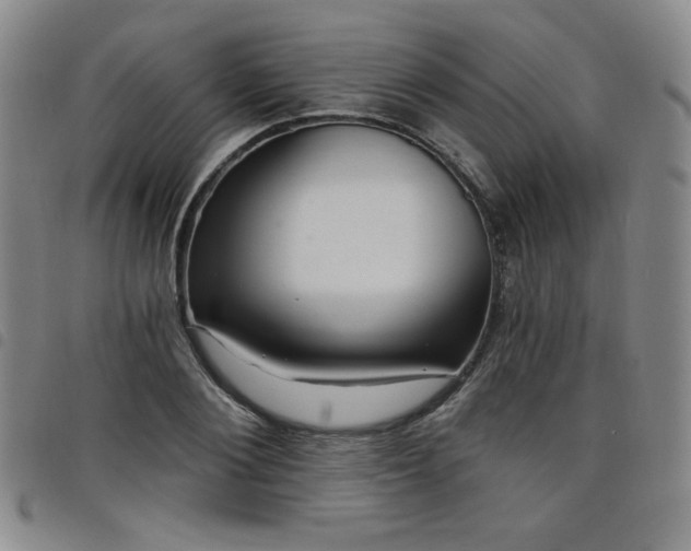 X0000098130884200804241647