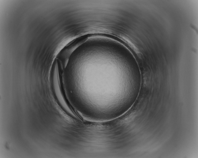 X0000098130885200804241647
