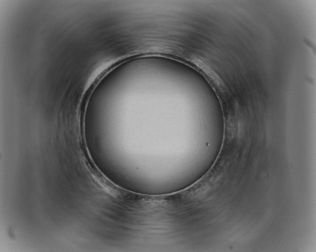 X0000098130886200804241647