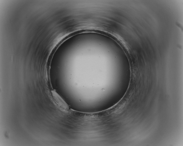 X0000098130887200804241647