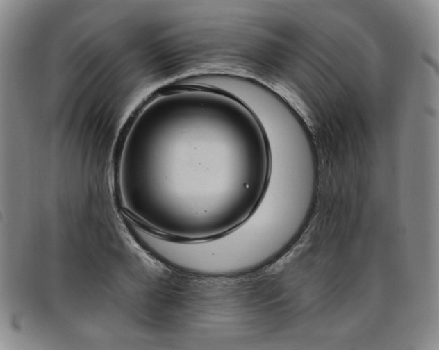 X0000098130888200804241647