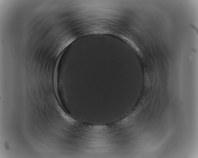 X0000098130889200804241647