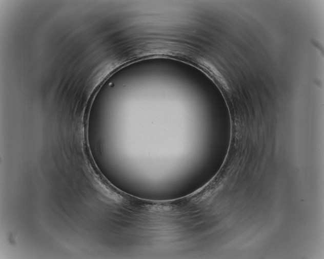 X0000098130890200804241647