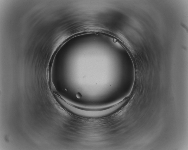 X0000098130891200804241647