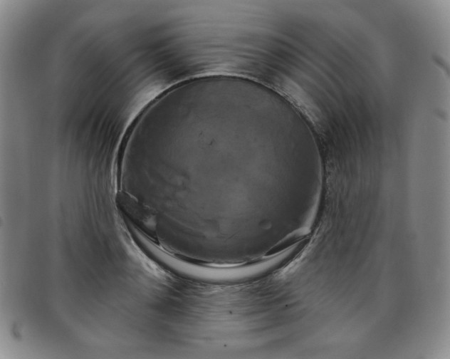 X0000098130892200804241647