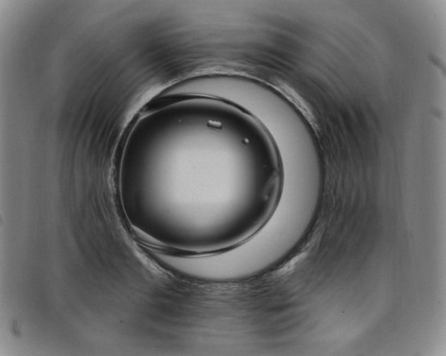 X0000098130893200804241647