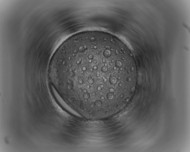 X0000098130895200804241647