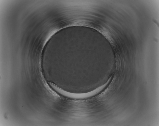 X0000098130896200804241647