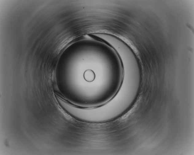 X0000098130897200804241647