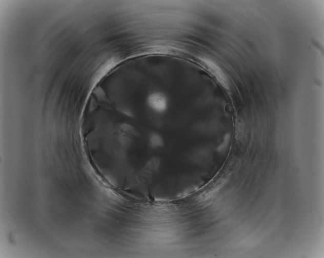 X0000098130899200804241647