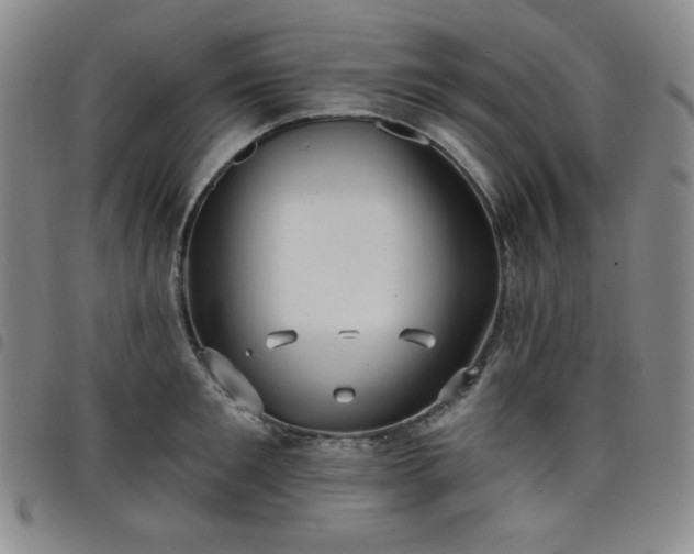 X0000098130901200804241647