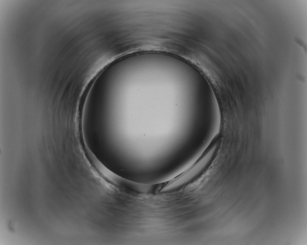 X0000098130902200804241647