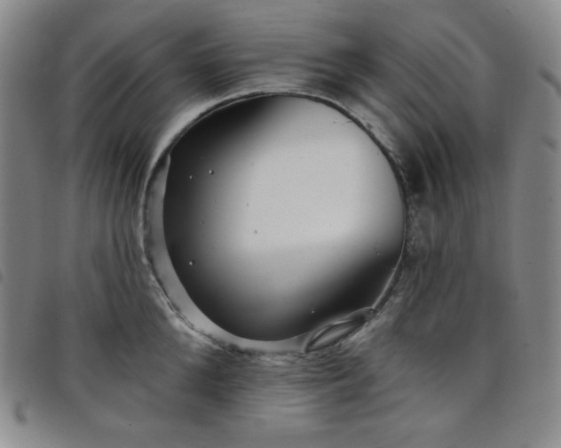 X0000098130904200804241647