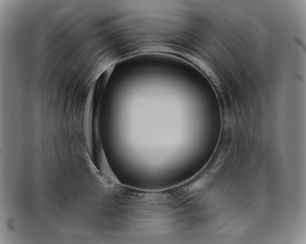 X0000098130905200804241647