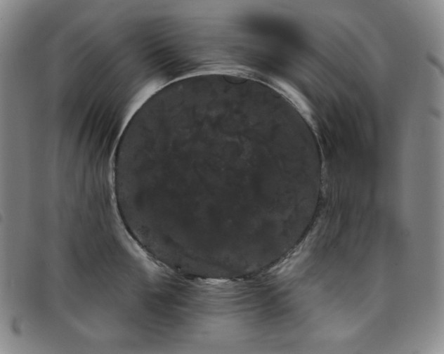 X0000098130907200804241647