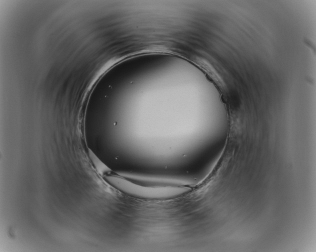 X0000098130908200804241647