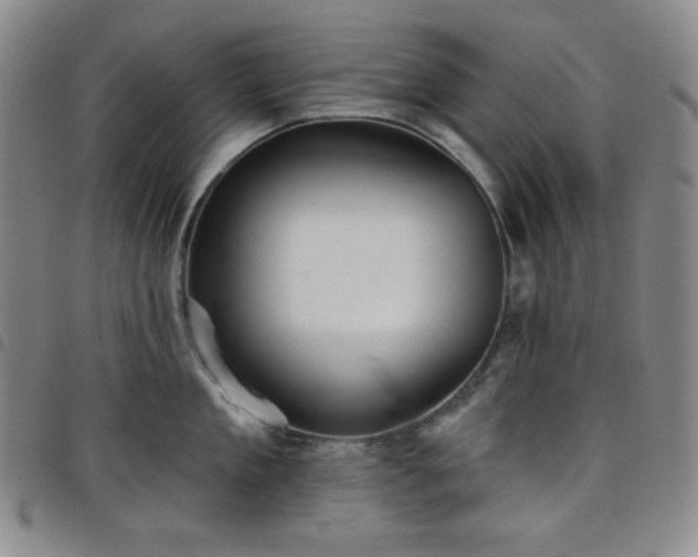 X0000098130909200804241647