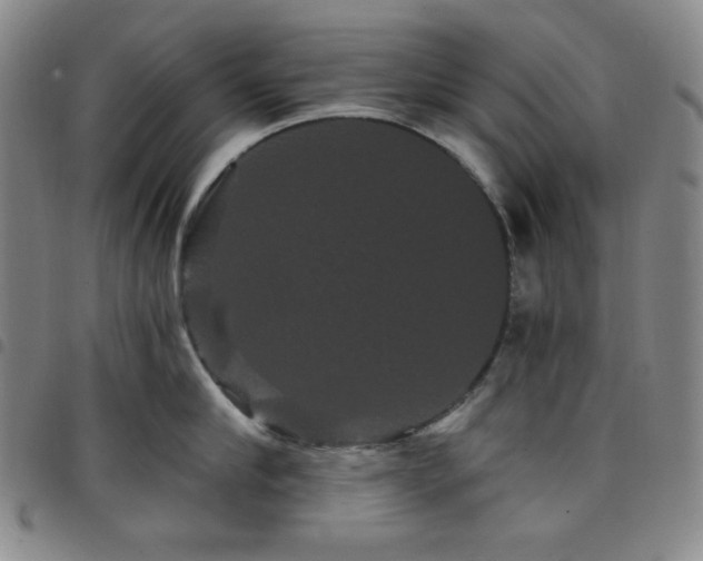 X0000098130910200804241647