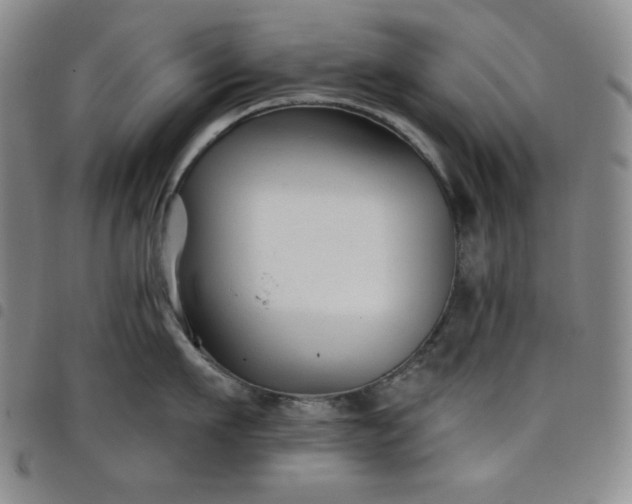 X0000098130911200804241647