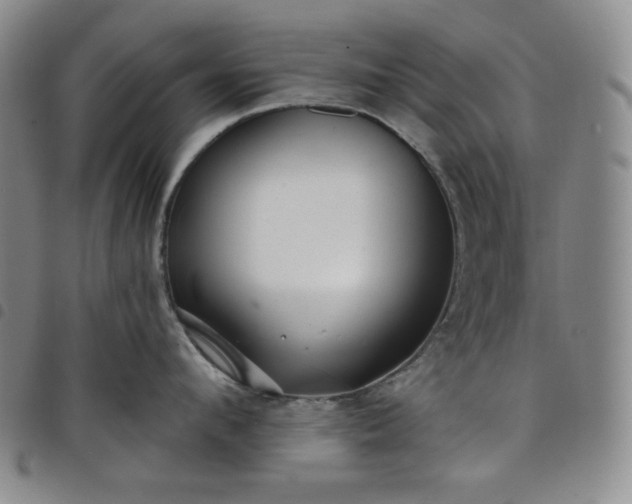 X0000098130912200804241646