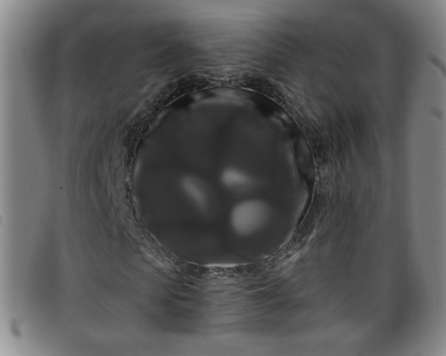 X0000098130913200804241646