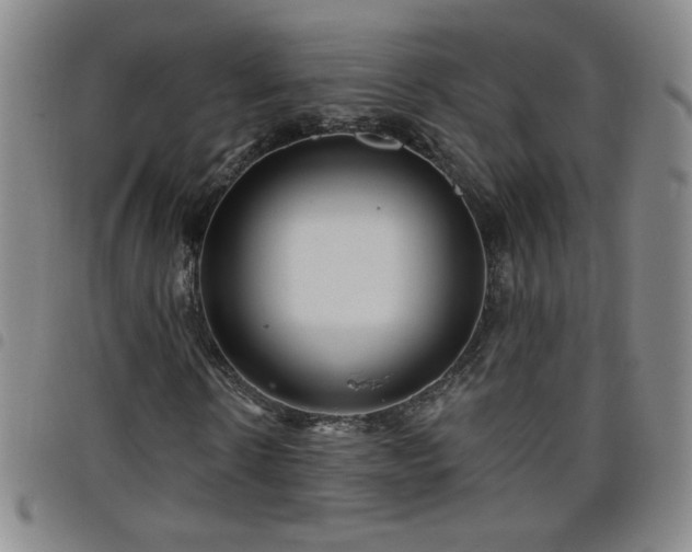 X0000098130914200804241646