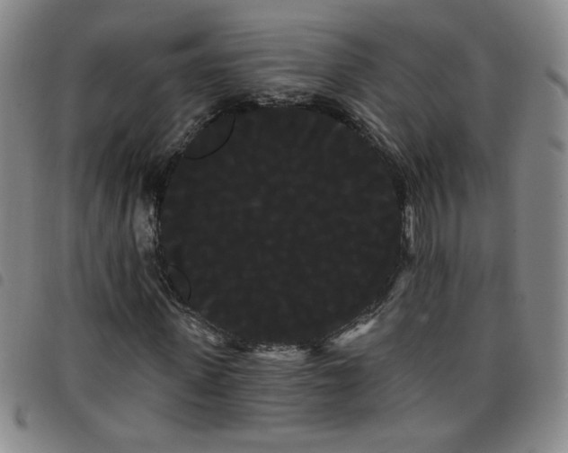 X0000098130915200804241646
