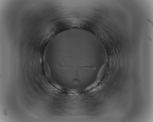 X0000098130916200804241646