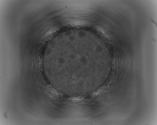 X0000098130917200804241646