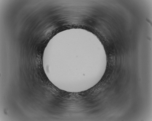 X0000098130918200804241646