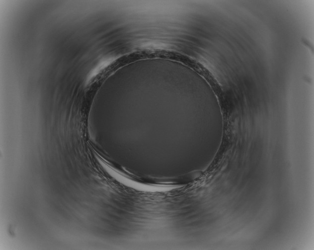 X0000098130919200804241646