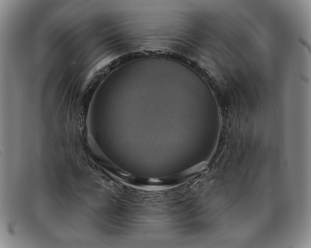 X0000098130920200804241646