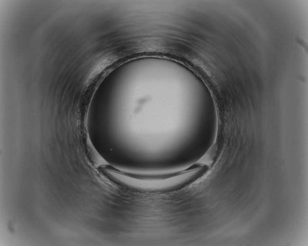 X0000098130922200804241646