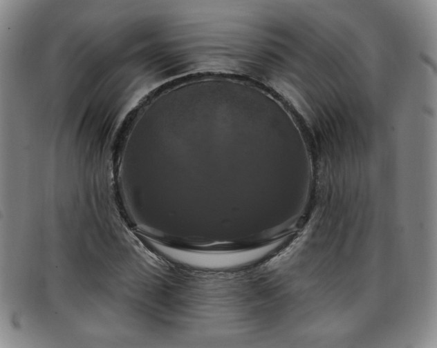 X0000098130923200804241646